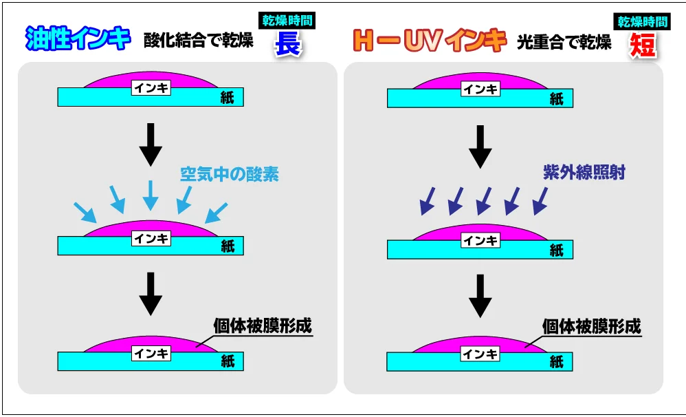 油性・UVオフセット印刷の違いの図